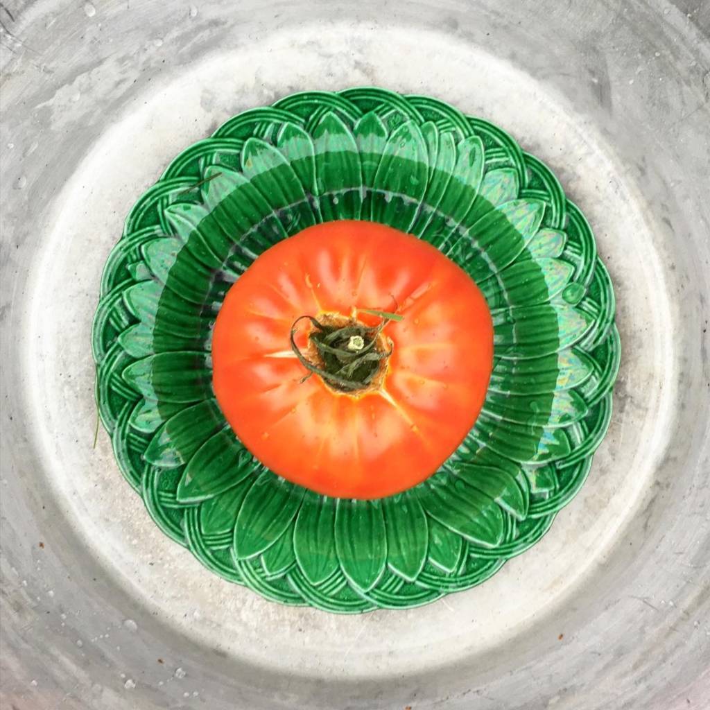 Flat lay photograph of a tomato siting on a green plate, with an intricate design of overlaid petals.